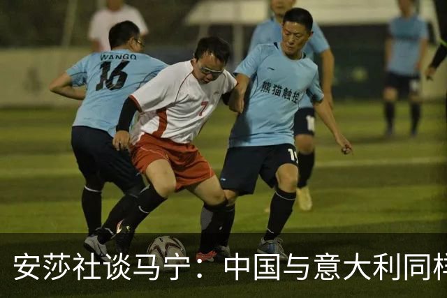 安莎社谈马宁：中国与意大利同样无缘世界杯，这位裁判被球迷追捧